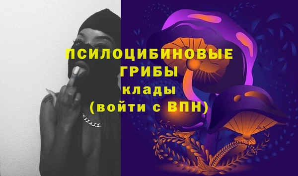 бошки Заволжск