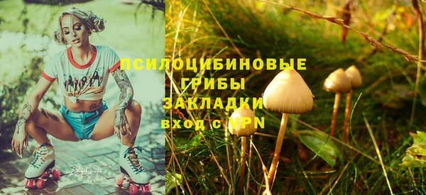 бошки Заволжск