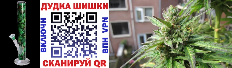 Купить где  Волгодонск  Бошки марихуана марихуана 
